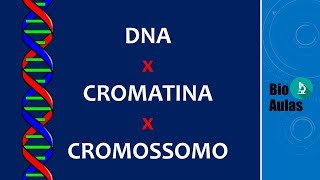 DNA Cromatina e Cromossomo Diferenças Biologia Molecular  Bio Aulas [upl. by Leticia]