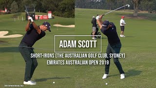 Adam Scott Golf Swing Short Irons DTL amp FO Emirates Australian Open Sydney December 2019 [upl. by Simeon]