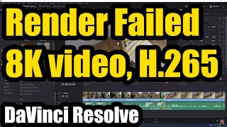 Render job failed Cannot find codec DaVinci Resolve 8K video H265 4 methods [upl. by Marjorie]