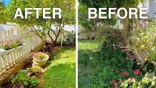 Overgrown Small Garden Makeover  BEFORE and AFTER [upl. by Ailed]