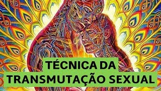 Técnica da Transmutação Sexual [upl. by Einreb260]