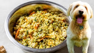 Recipe Simple 5 Ingredient Homemade Dog Food [upl. by Marthe]