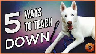 How to Teach a Dog to Lie Down  5 Alternate Methods for All Dogs [upl. by Ardnoel]