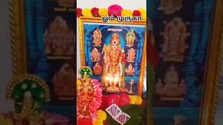 ஓம் முருகா🦚🙏🦚whatsappstatus tamil murugan song surasamharam festival saisri mjs [upl. by Nevin]