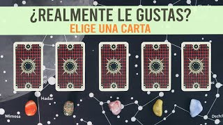 ¿Realmente LE GUSTAS o te lo estás imaginando  Tarot Interactivo 💓 [upl. by Ttayw776]