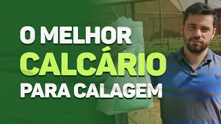 O melhor CALCÁRIO para CALAGEM [upl. by Nylodnewg]