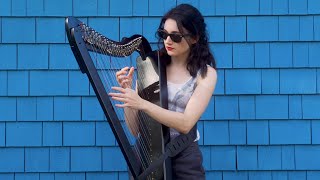 New York  St Vincent Harp Cover [upl. by Savinirs]