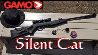 Gamo Silent Cat 177 cal Air Rifle with 4x32mm Scope [upl. by Ajar]