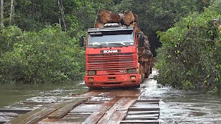 NA ROTA DA MADEIRA  Caminhões ao Extremo 10 [upl. by Annailuj219]