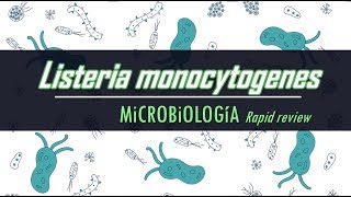 Listeria monocytogenes Revisión Rápida [upl. by Major]