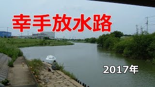 幸手放水路（中川）でバス釣りするもギル連発！【権現堂の下流】 [upl. by Chemesh]