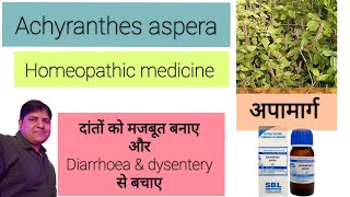 Achyranthes homeopathic medicine Explained  tooth Diarrhoea Dysentery IBS [upl. by Somisareg]