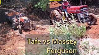 Tafe 45di vs Massey Ferguson 135BOLEROFANS [upl. by Arreis]