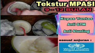 Tekstur MPASI Bayi  9 sampai 12 Bulan [upl. by Asirram]