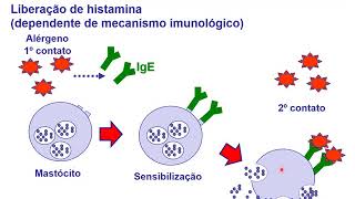 HISTAMINA E ANTI HISTAMINICOS [upl. by Adal]