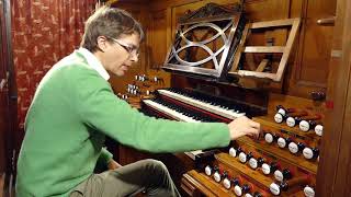 Tour of the sounds of the CavailleColl organ St Sernin toulouse [upl. by Arreis]