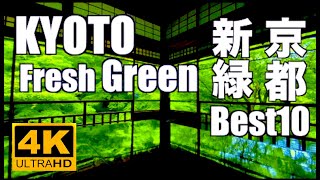 4K 京都の青もみじ 新緑 Best10 Fresh green leaves Kyoto 京都観光 旅行Japan 東福寺 瑠璃光院 祇王寺 永観堂 三千院 嵐山 Nature Sounds 庭園 [upl. by Ernie]