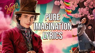 Pure Imagination Lyrics From quotWonkaquot Timothée Chalamet [upl. by Atalanta]