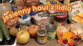 Wreszcie kupiłam DYNIĘ 🎃 Haul spożywczy LIDL  plan posiłków [upl. by Fugere941]