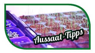 Aussaat amp Gartentipps im Januar 🌱 Jungpflanzenanzucht im Januar 🌱 Selbstversorgung [upl. by Danae]