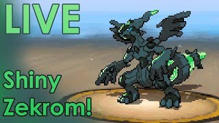 LIVE Shiny Zekrom after 5961 SRs in Pokémon Black 2 [upl. by Steddman]