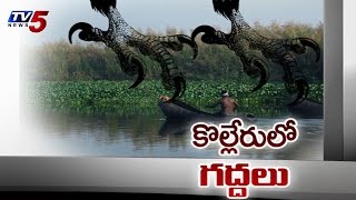 Operation Kolleru  Forest Officers Destroyed Lake  TV5 News [upl. by Ydok849]