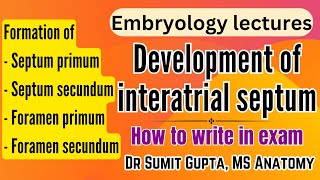 Development of Interatrial septum  Embryology of CVS [upl. by Bobette]