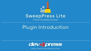 SweepPress Lite Website Cleanup and Optimization [upl. by Wildee]