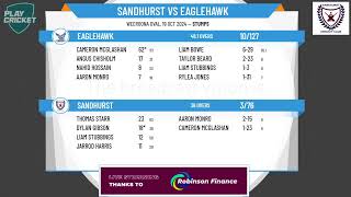 Sandhurst v Eaglehawk 1st XI Mens [upl. by Aleinad]