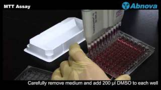 MTT Assay [upl. by Neve]