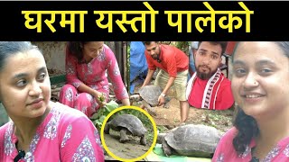 हिमाको घरमा यस्तो पालेको सबैले हेर्नुहोला Bhagya Neupane India Tour [upl. by Agiaf]