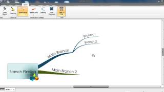 iMindMap 6  Branch Pinning [upl. by Anauqal538]