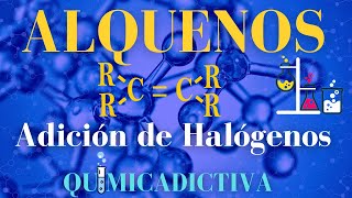 ALQUENOS Adición de halógenos 👨‍🔬QUÍMICA ORGÁNICA [upl. by Nitz]