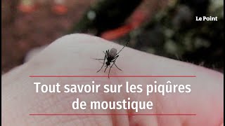 Tout savoir sur les piqûres de moustique [upl. by Atilrak]