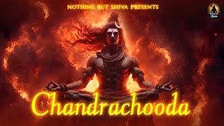 Chandrachooda Shiva Shankara Parvati Full Version  Mahashivratri 2024  Sundara Dhara Shiva Song [upl. by Innavoig]