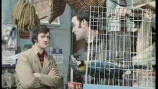 Monty Python The Parrot Sketch amp The Lumberjack Song movie versions HQ [upl. by Kersten]