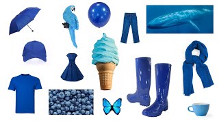 English Vocabulary  BLUE COLOUR OBJECTS [upl. by Neeli]