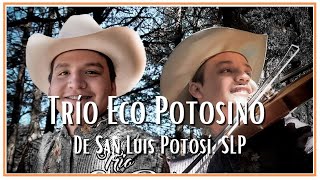 Huapangos por el trío Eco Potosino de SLP [upl. by Annat804]