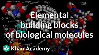 Elemental building blocks of biological molecules  Chemistry of life  AP Biology  Khan Academy [upl. by Esilegna]