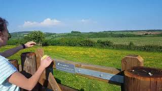 Dog friendly cottages at Treworgey [upl. by Lledra753]