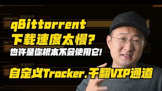 qBittorrent下载速度太慢 也许是你根本不会使用它 [upl. by Halima]