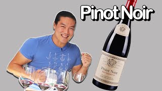 Run to a wine store to buy this right now 10 Pinot Noirs [upl. by Lednahs]