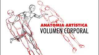 Anatomía Artística Volumen corporal para principiantes [upl. by Auberon]