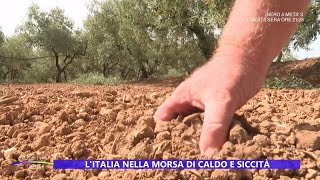 Sicilia siccità dramma quotidiano  Estate in diretta 29072024 [upl. by Cloutman]