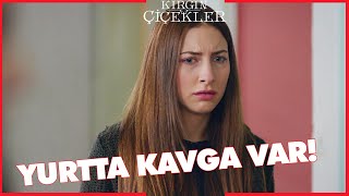 Kırgın Çiçekler Özel Kısa Bölümler  100 [upl. by Vada725]