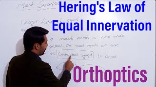 Herings Law of Equal Innervation [upl. by Bust]