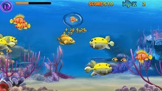 Game Ikan Makan Ikan Feeding Frenzy [upl. by Tingley303]