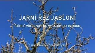 JarniĚ rĚŚez jabloniĚ  od vyĚsadby do 15 roku [upl. by Feil]