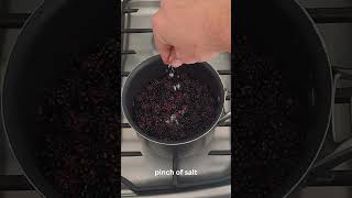 How to Make Blackberry amp Elderberry Compote  Easy Foraged Berry Recipe [upl. by Teresita]