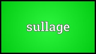 Sullage Meaning [upl. by Editha]